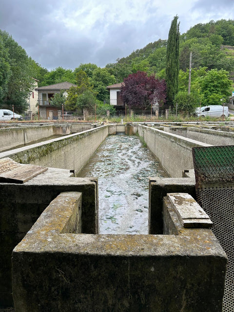 Une nouvelle aventure pour La Truitelle : l’achat de notre pisciculture biologique dans l’Aveyron !